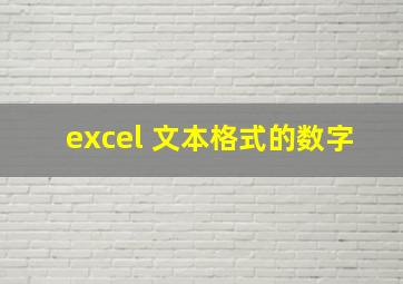 excel 文本格式的数字